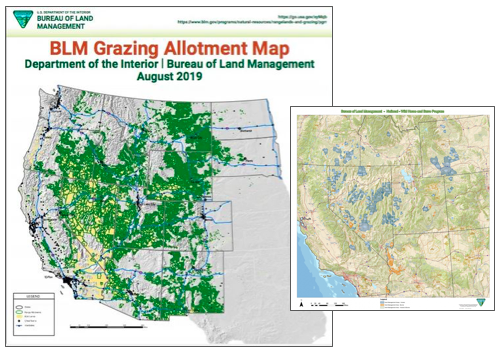 Blm Grazing Allotment Maps Fact-Checking The New York Times: Maps And Data Expose Cattle, Not Wild  Horses, As Looming Crisis. | The Daily Pitchfork